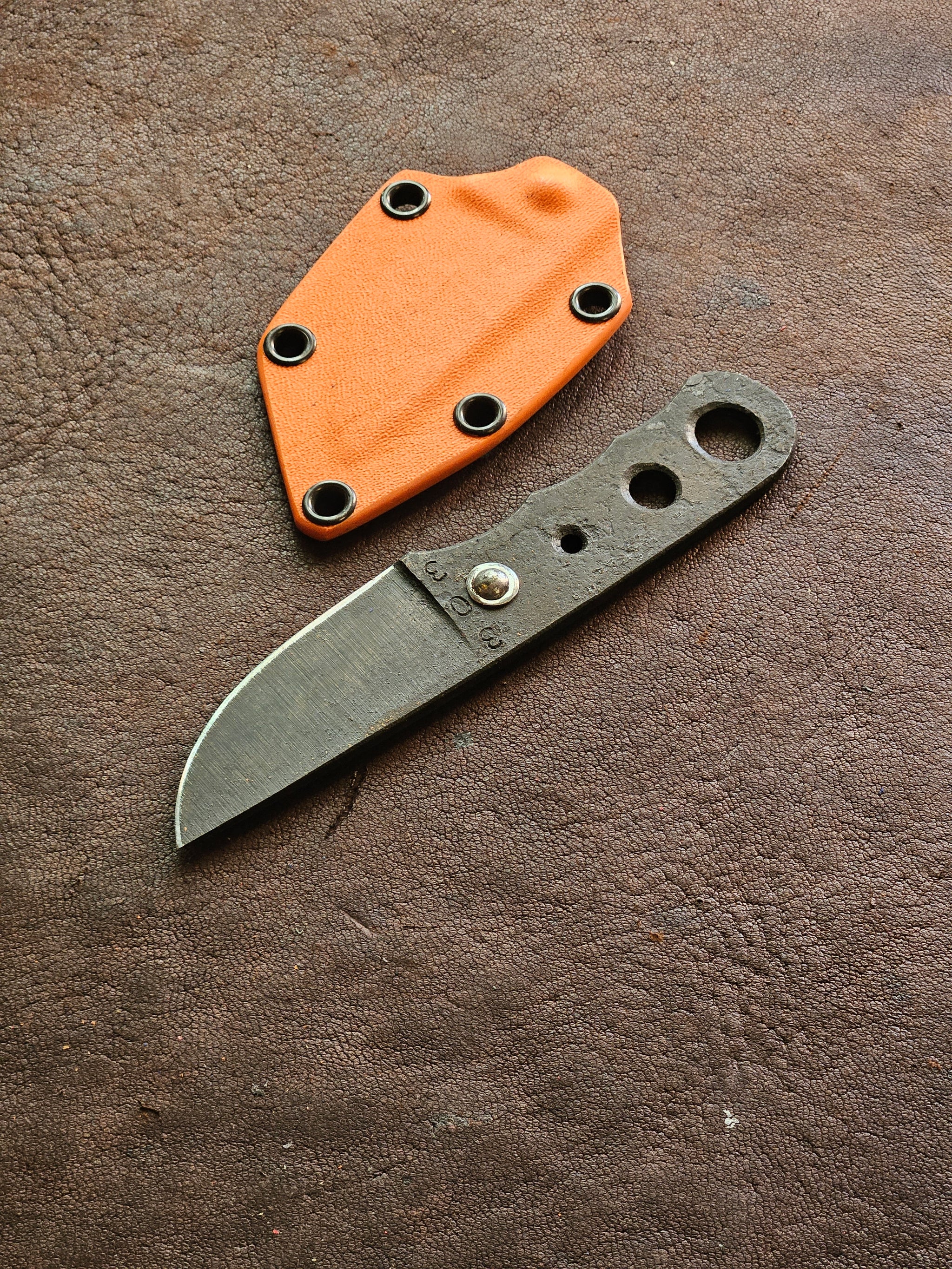 RLPs 303