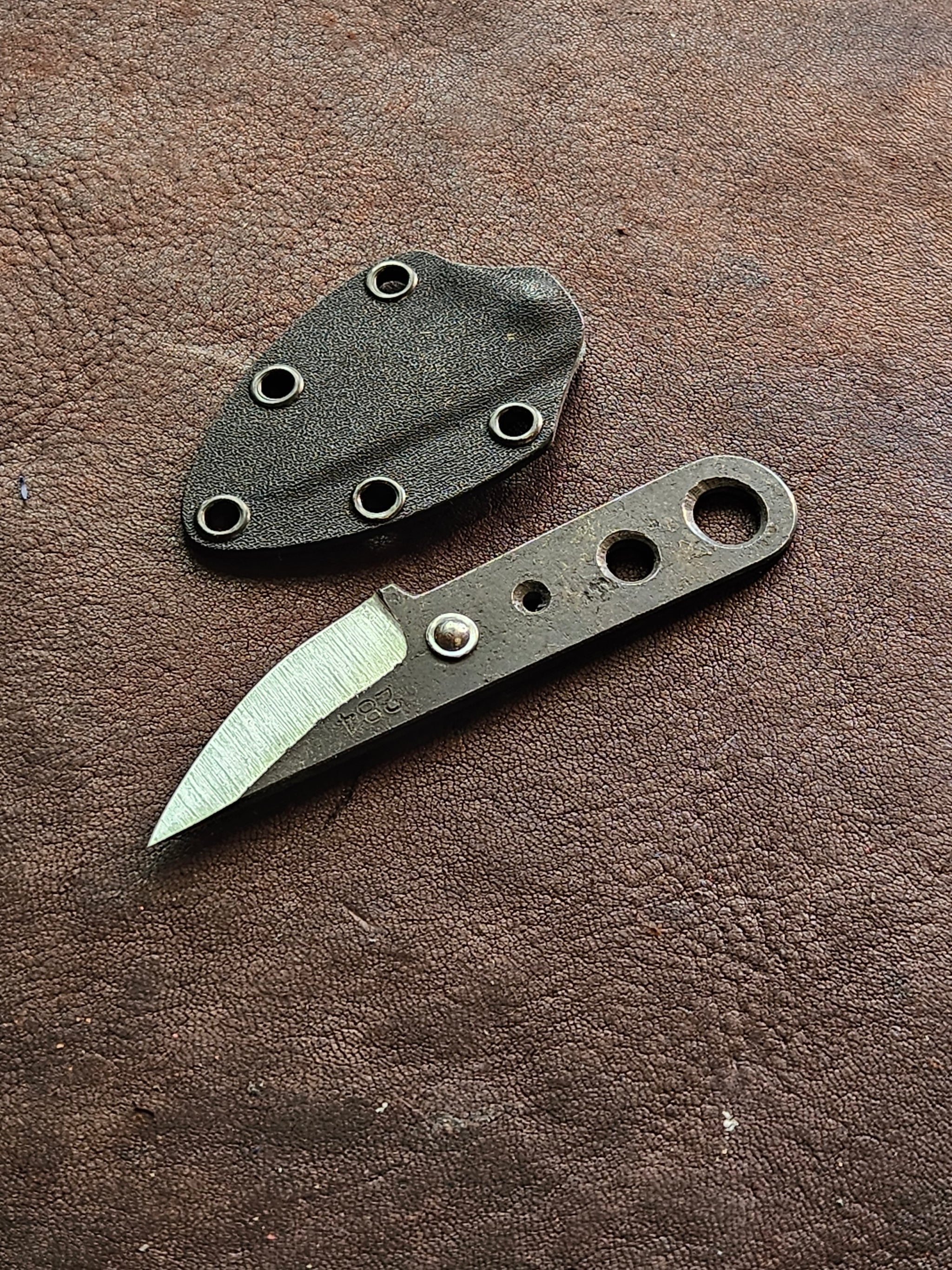 RLPs 284