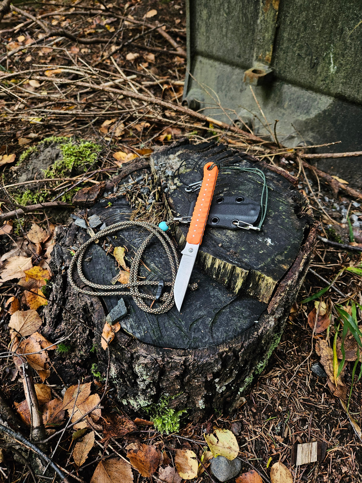 V5