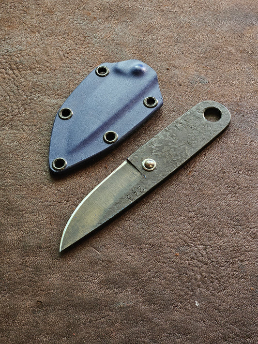 RLPs 243