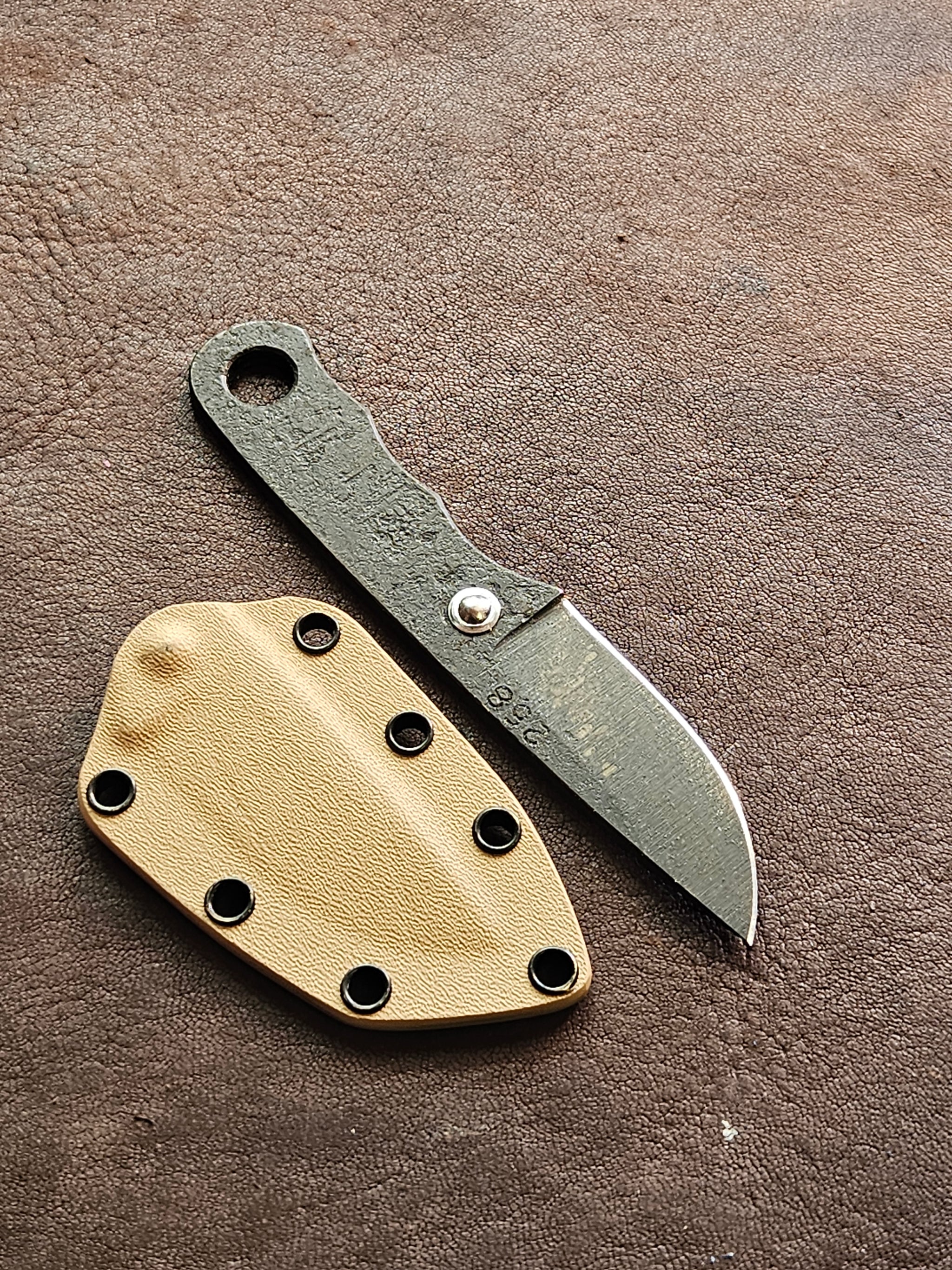 RLPs 258