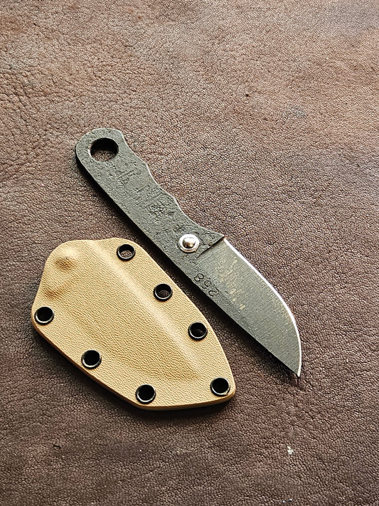 RLPs 258
