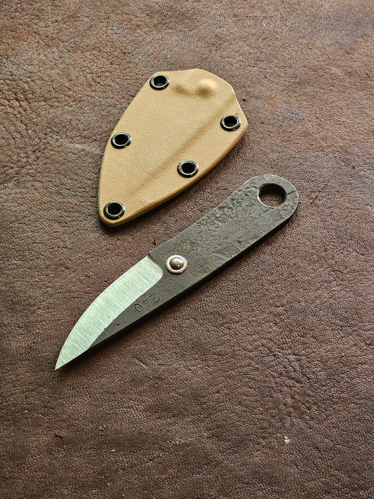 RLPs 240