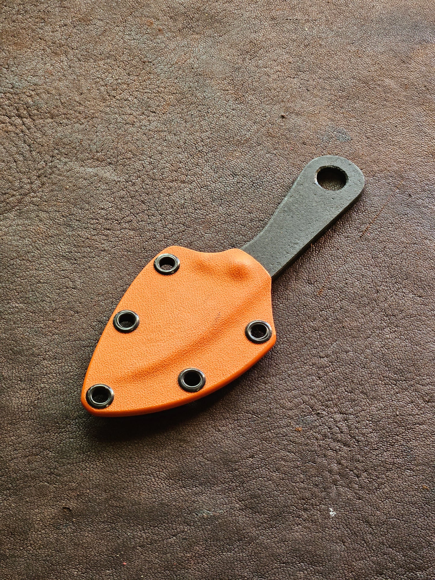RLPs 253