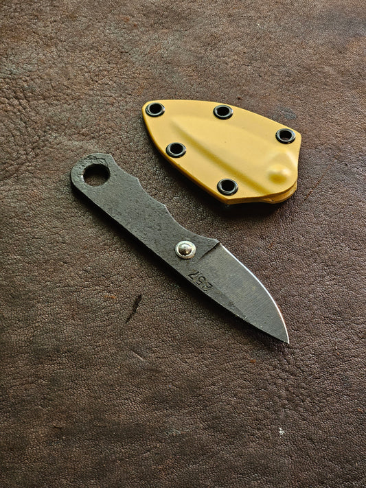 RLPs 257