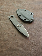 RLPs 254