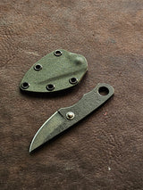 RLPs 256