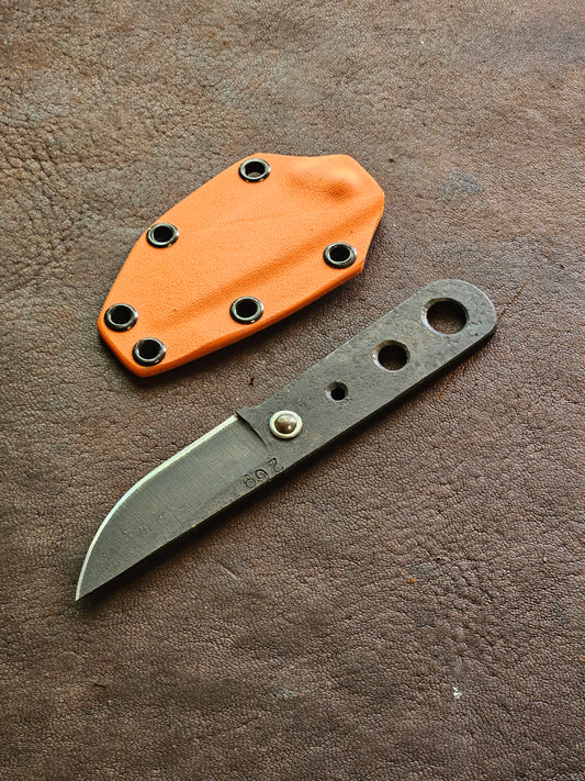 RLPs 269