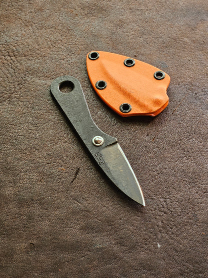 RLPs 253
