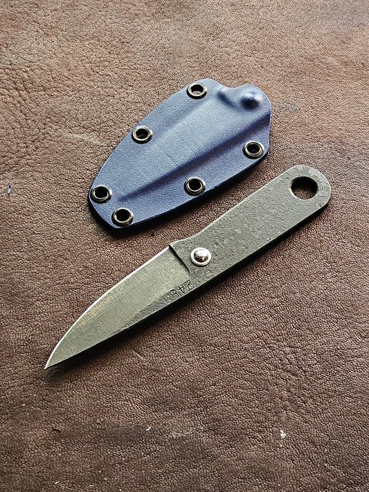 RLPs 248