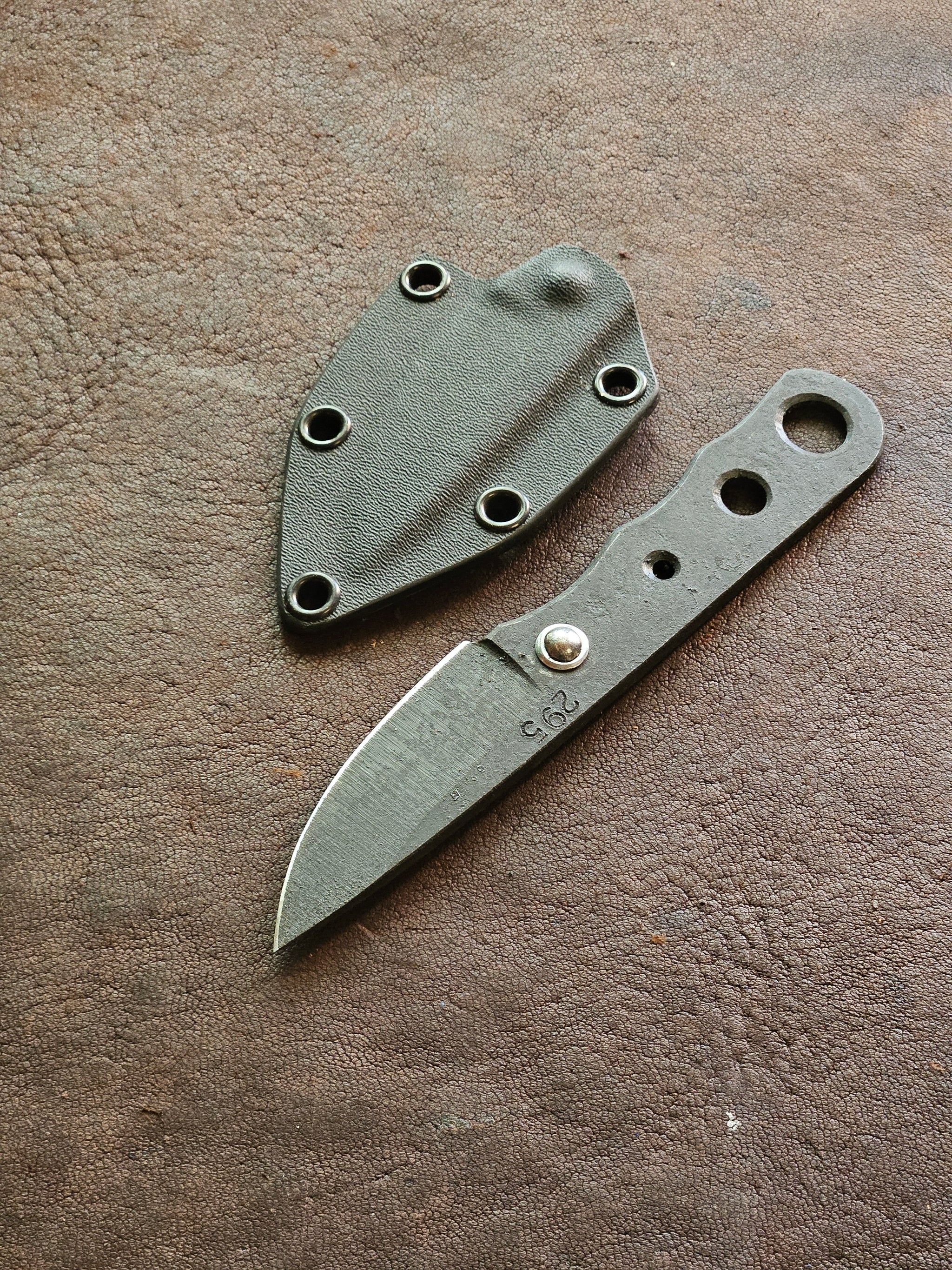 RLPs 295