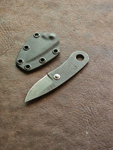 RLPs 255