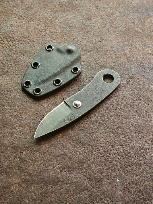 RLPs 255