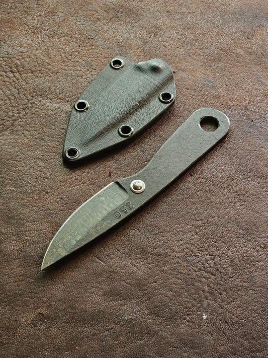RLPs 250
